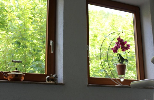 Weissenstein Apartment | Single room with shower and WC