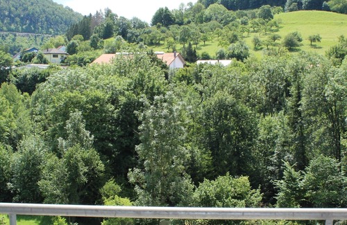 Weissenstein Apartment | Single room with shower and WC