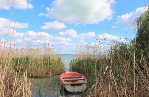 Balatonszepezd Ski Chalet | Sir David Balaton Castle Apartmanok