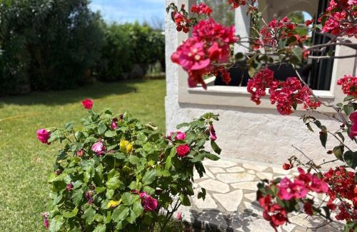 Almiros Beach Apartment | Sirios