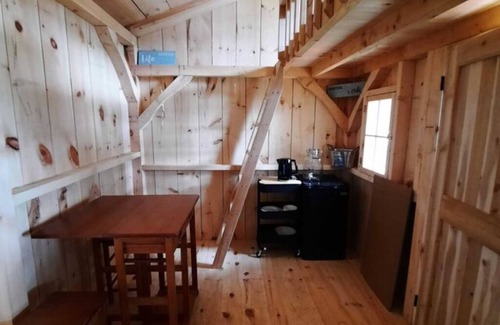 Whitestone Cabin | Site #17 | Evergreen Bunkie