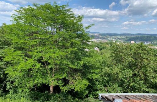 Karthause Apartment | Six - ONE SEVEN