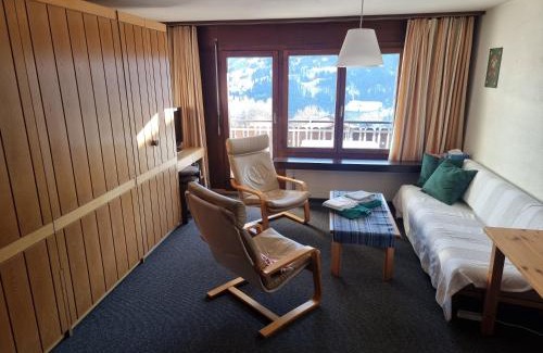 Pany Apartment | Ski fahren-Schneeschuhwandern-Langlauf inkl Hallenbad