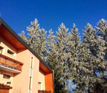 Golcuv Jenikov Apartment | Ski&hike apartments Krkonoše - Janské Lázně