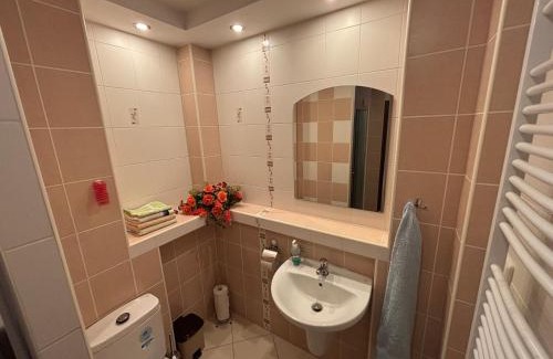 Golcuv Jenikov Apartment | Ski&hike apartments Krkonoše - Janské Lázně