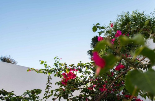 Agia Paraskevi Villa | Skiathea Villas Villa A