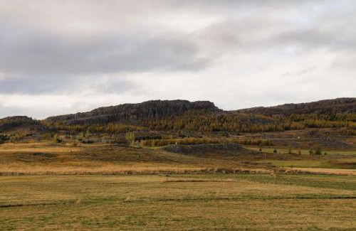 Egilsstadir Apartment | Skipalaekur Farm Apartments