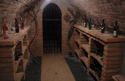 Cejkovice Villa | Sklípek na Větřáku