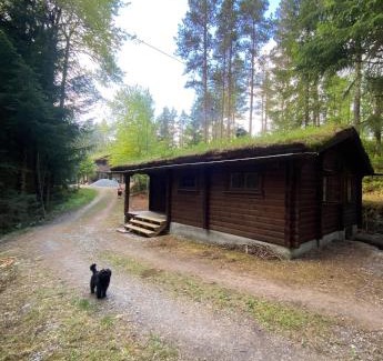 Eid House | Skogshytte