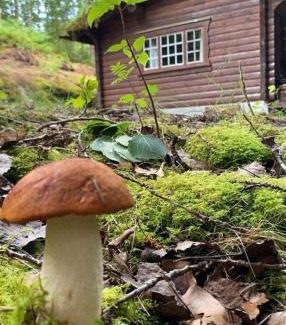 Eid House | Skogshytte