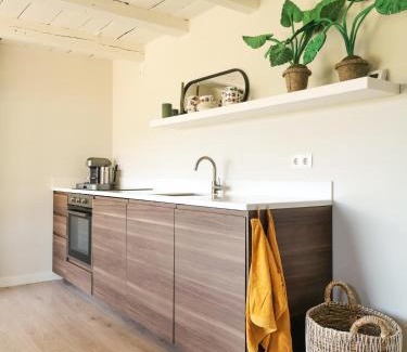 Twello Apartment | Slapen in een oude stal ('Het Oude Wezeveld')