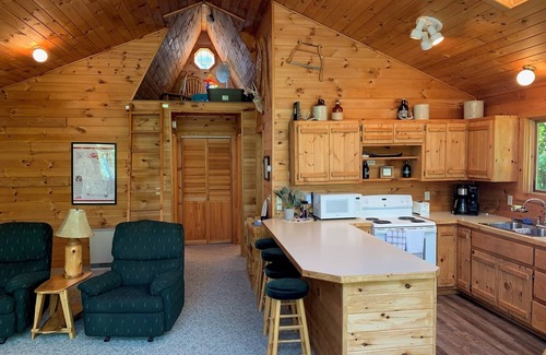 Birchwood Cabin | Slice of Paradise on Slim Lake - Cozy and Peaceful 2 Bedroom Cabin