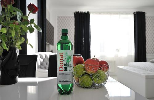 Rogaska Slatina Apartment | SLOAPART Apartments