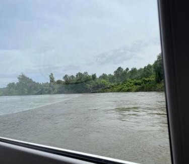 Pancevo Apartment | Small Cabin on river Jabukov cvet