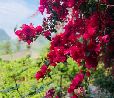 Bac Ha House | So H'mong Homestay