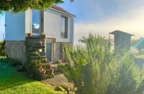 Oliveira de Frades Villa | Solar Alegria