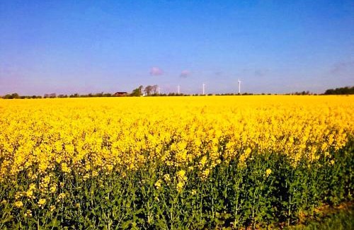 Hammenhog Apartment | Solhögs Gård nr 4