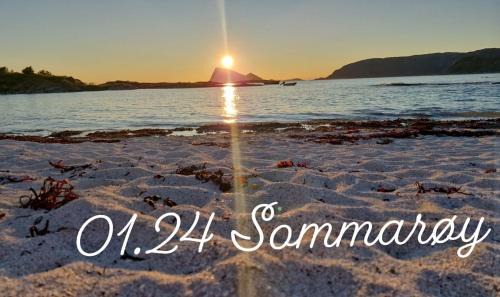 Sommarøy Apartment | Sommarøy Aurora apartment