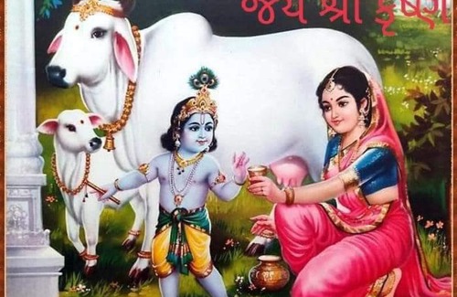 Varanasi Nagar Nigam Apartment | Sonawala guest house