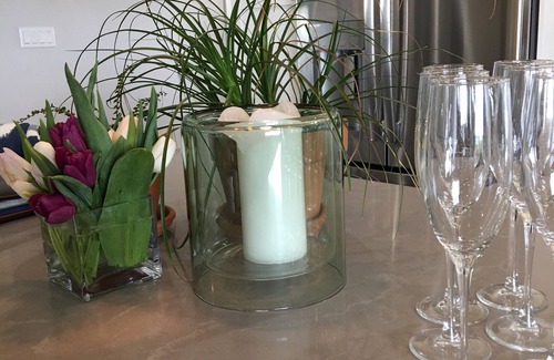 Bay Area House | Sonoma County Modern Farmhouse, Views, Vineyards, Hot Tub & Sonoma Horse Park