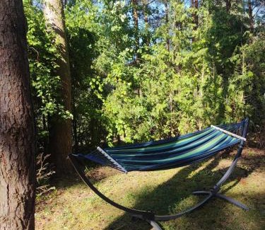 Gasawa Apartment | Sosnowy Zakątek