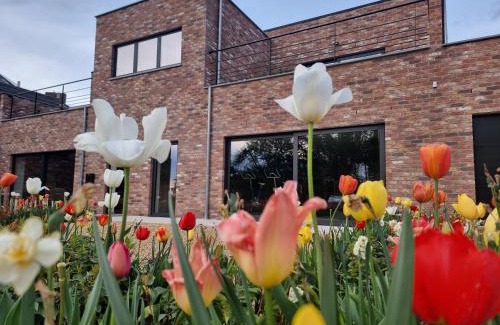 Baisy-Thy Bed & Breakfast | Sous la Houlette, 3 Suites, Pool and Sona on demand