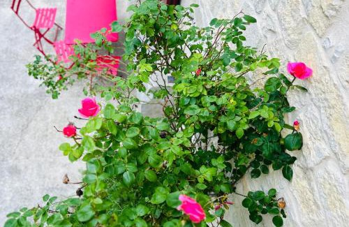 Guyans-Durnes House | Sous le Charme