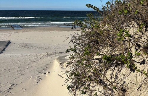 Grzybowo Hotel | Spa hotel in Gribow near Kolberg, 700m from the beach.