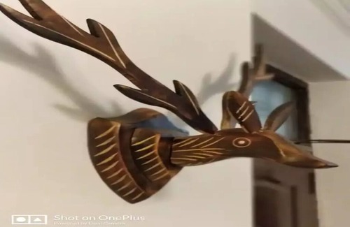 Bullawala Apartment | Spacious apartment with all basic amenities with extravagnant