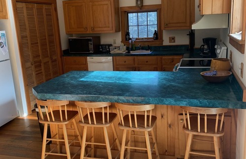 Londonderry House | Spacious Bright Living Area, Bromley Mountain Adventure Park & Hapgood Pond Park