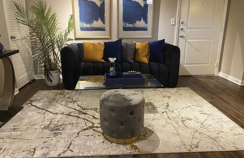 Greenway Plaza-Upper Kirby Apartment | Spacious Clean and Classy 2bd in the heart of Houston