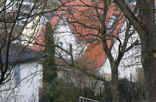 Bad Mergentheim Apartment | Spacious, comfortable apartment close to town and spa gardens. Exceptional!