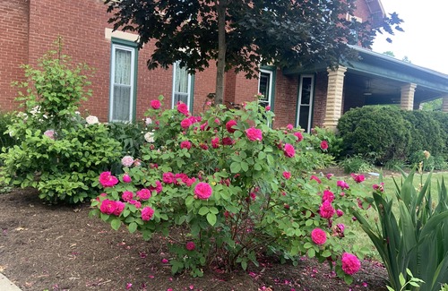 Dover House | Spacious Historic Home