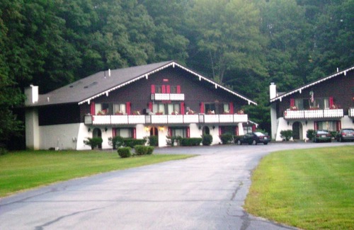 Bartlett Condo | Spacious Linderhof Condo right across from Storyland! Near major ski areas !