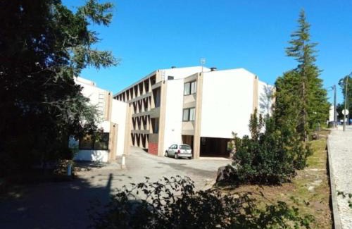 Sao Tiaguinho Apartment | Special place in São Pedro do Sul