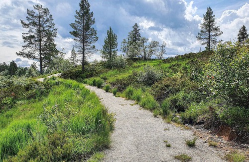 Tjaldal House | Spend a relaxing holiday close to nature in this inviting holiday home.