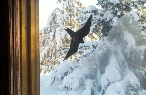 Finlayson Cabin | Spiral Staircase Leads To The Lofted Bedroom With Wall To Wall Knotty Pine.