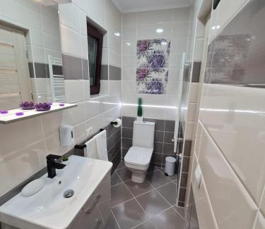 Fagaras House | Splendid House