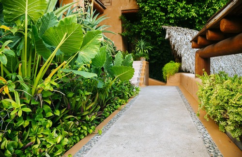 Ixtapa - Zihuatanejo Villa | Splendid Villa With an Astonishing View Overlookíng the Bay of Zihua!