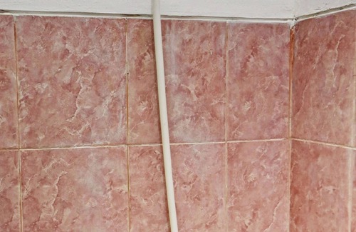 Sidomulyo Hotel | SPOT ON 92916 Batu Mas Homestay Syariah