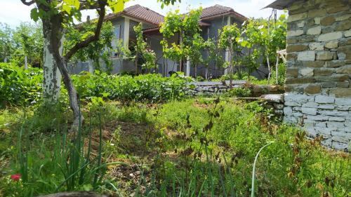 Albania Apartment | Spring Village Home