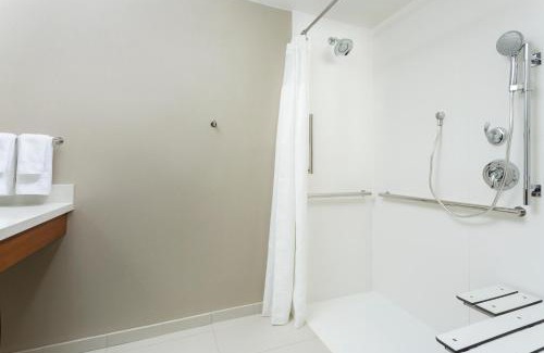 Mission Valley East Hotel | SpringHill Suites by Marriott San Diego Mission Valley