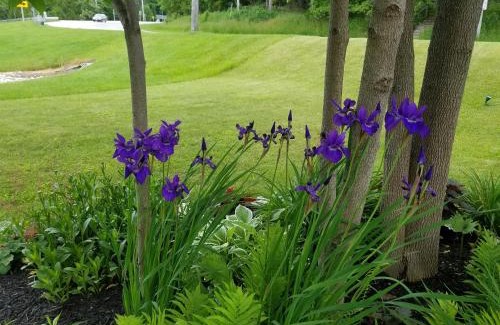 Baileys Harbor Hotel | Square Rigger Harbor Motel