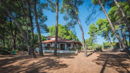 Metamorfosi House | Squirrel Beach Front Villa, Metamorfosi