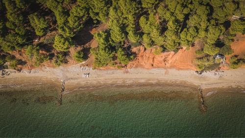 Metamorfosi House | Squirrel Beach Front Villa, Metamorfosi