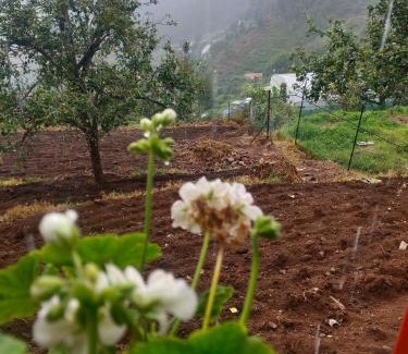 Kodaikanal House | Sri Harshini Villa