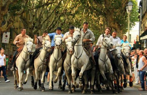 Saint-Quentin-la-Poterie House | St-Quentin la Poterie villa clôturée pour 4 pers avec jardin