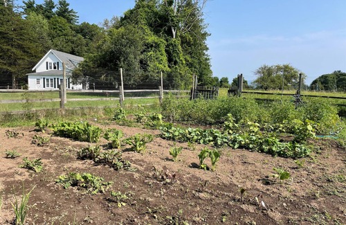 Westport Cottage | Stable Properties - Charming Four Bedroom Cottage With Beautiful Views