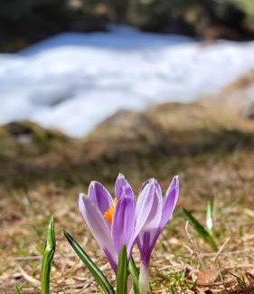 Neustift Im Stubaital Apartment | Stackler54 - mit Balkon