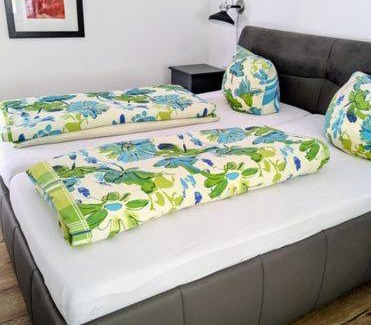 Lutzel Apartment | Stadtoase Koblenz